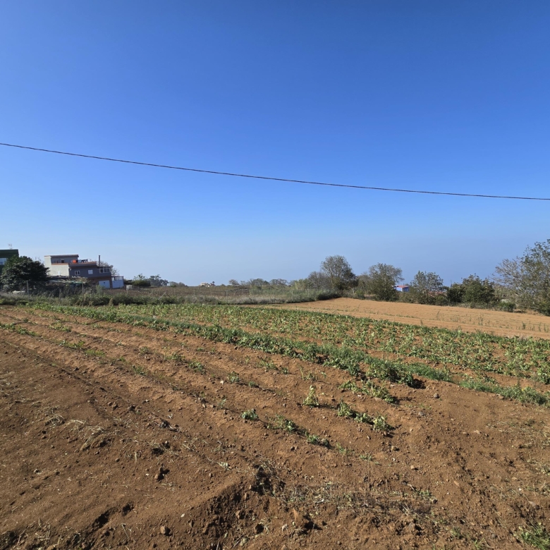 PARCELA EN RAVELO QUE TE ENAMORARÁ