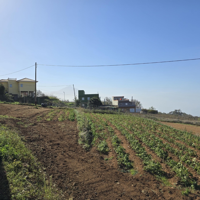 PARCELA EN RAVELO QUE TE ENAMORARÁ