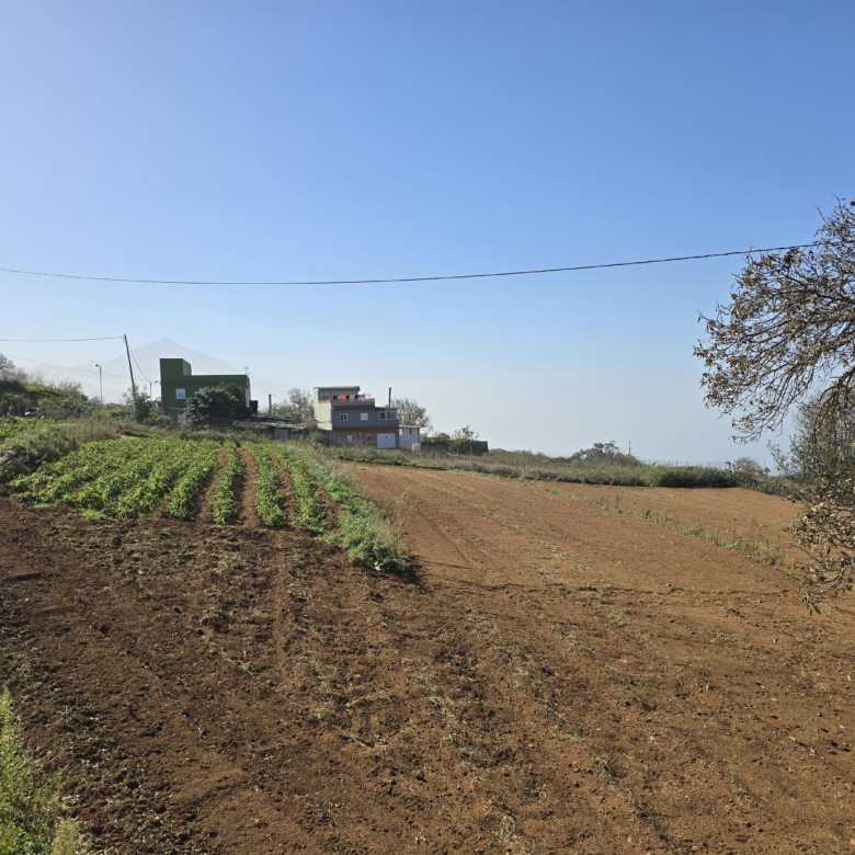 PARCELA EN RAVELO QUE TE ENAMORARÁ