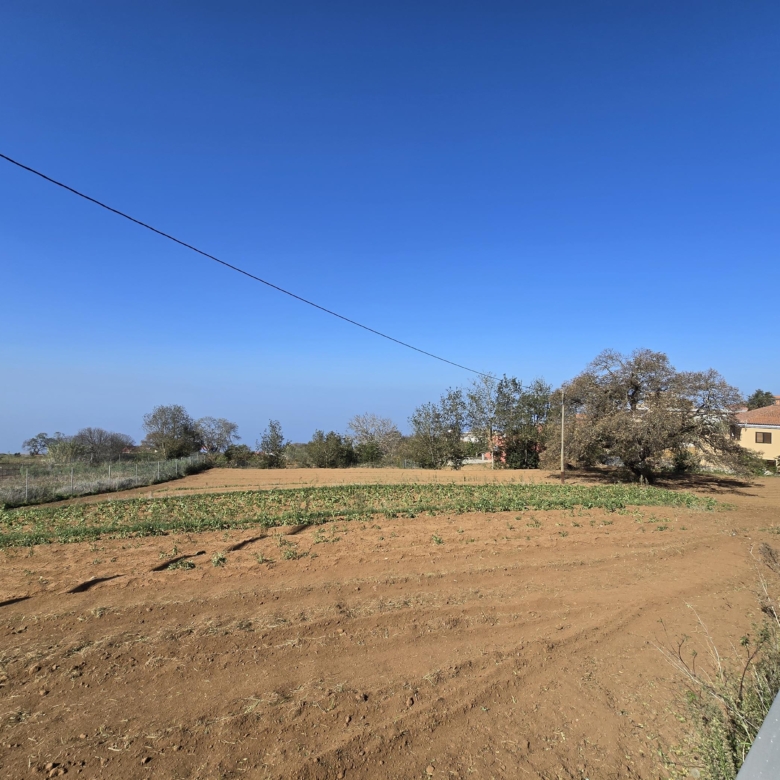 PARCELA EN RAVELO QUE TE ENAMORARÁ