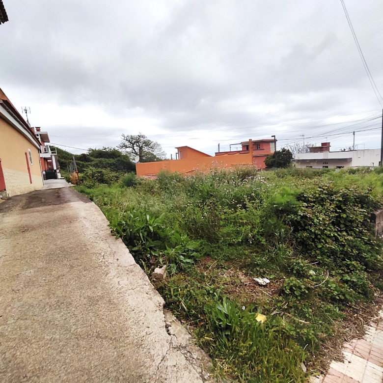 TERRENO URBANO EN RAVELO